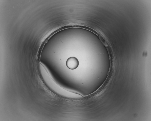 X0000113080885200909111001