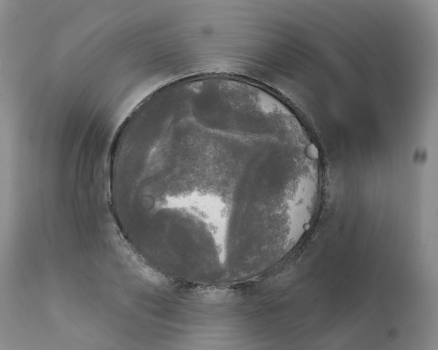 X0000113080886200909111001