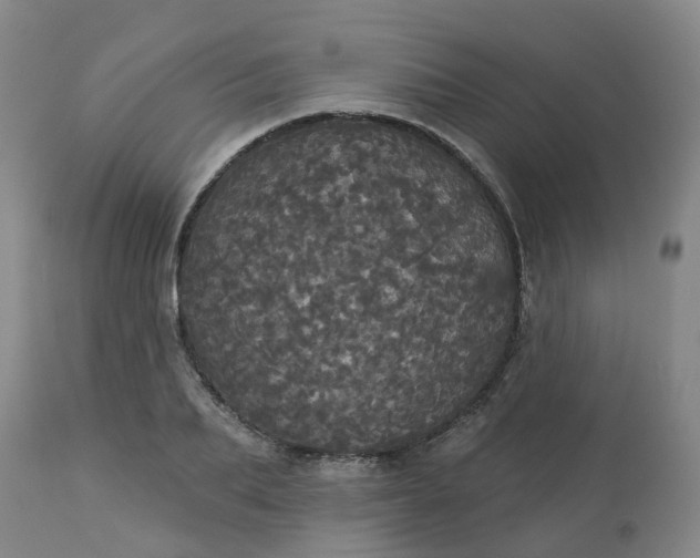 X0000113080887200909111001