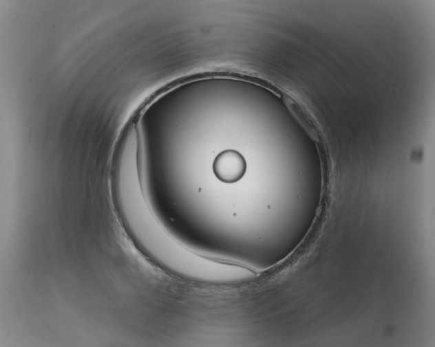 X0000113080888200909111001