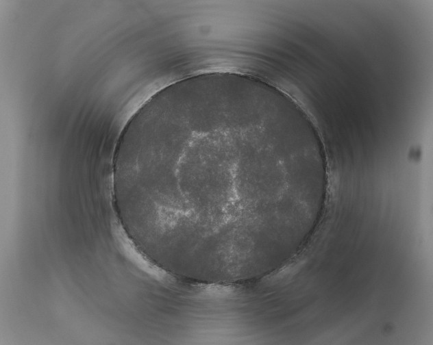 X0000113080890200909111001