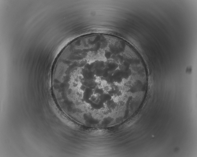 X0000113080891200909111001