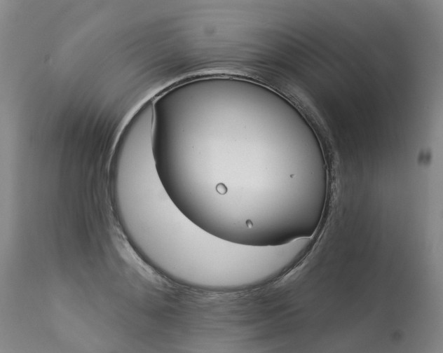 X0000113080892200909111001