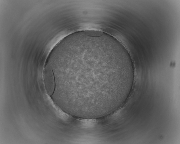 X0000113080893200909111001