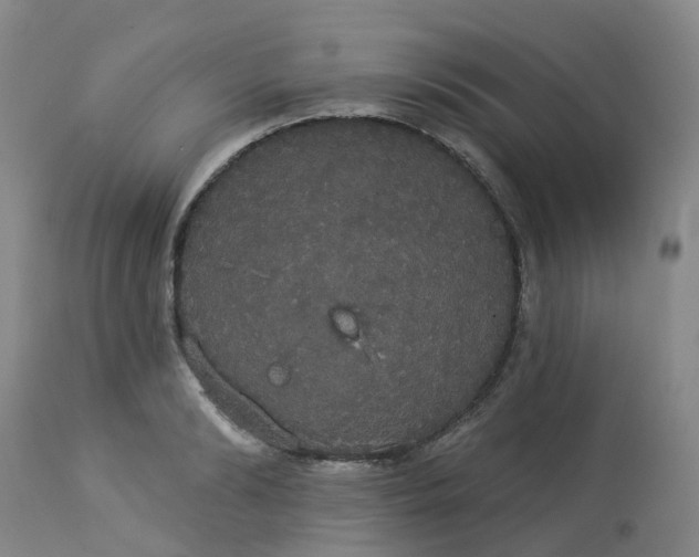 X0000113080894200909111001