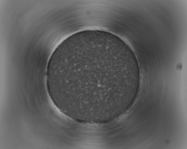 X0000113080895200909111001