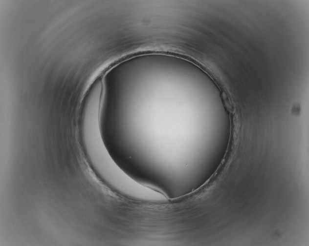 X0000113080896200909111001