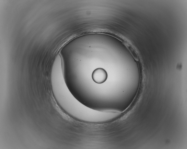 X0000113080897200909111001