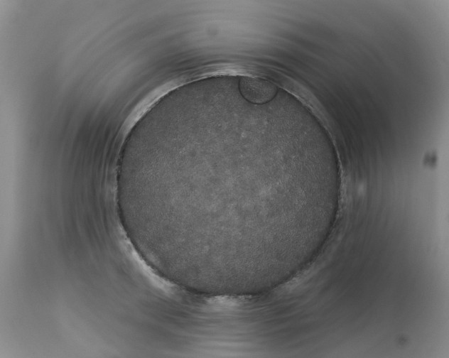 X0000113080898200909111001