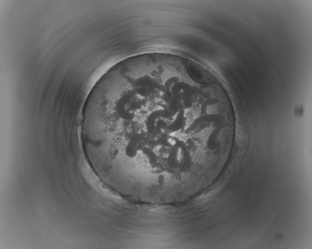 X0000113080899200909111001