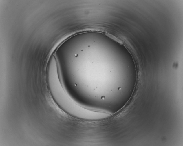 X0000113080900200909111000