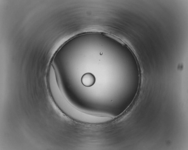 X0000113080901200909111000