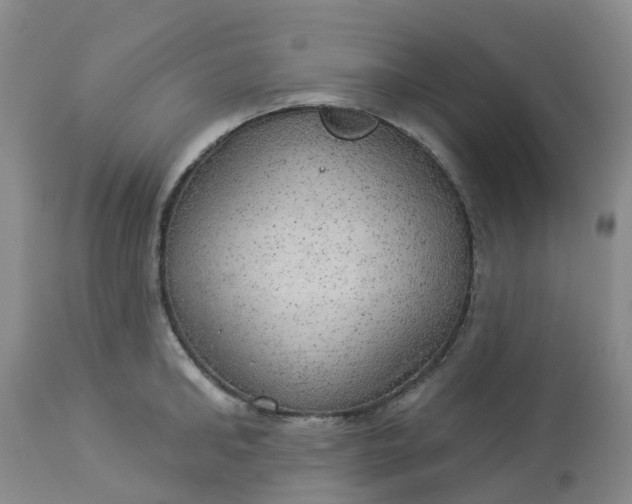 X0000113080902200909111000