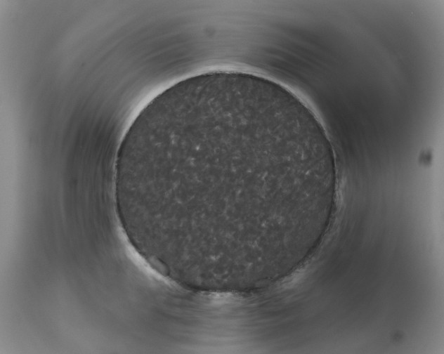 X0000113080903200909111000