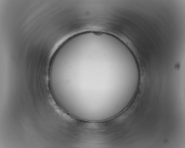 X0000113080904200909111000