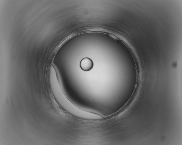 X0000113080905200909111000