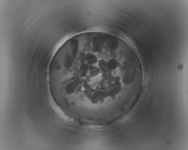 X0000113080907200909111000