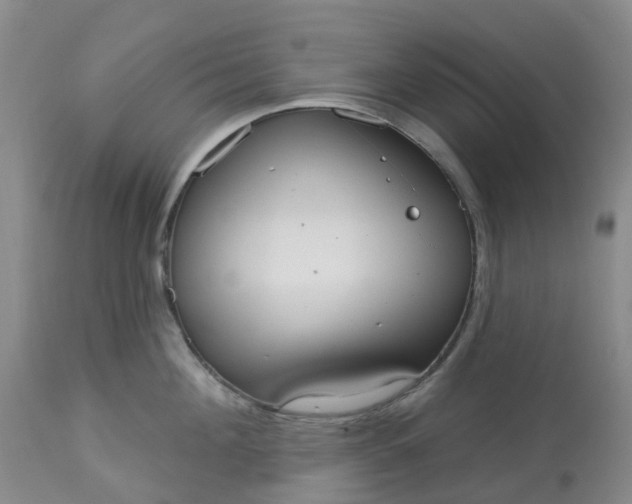 X0000113080908200909111000