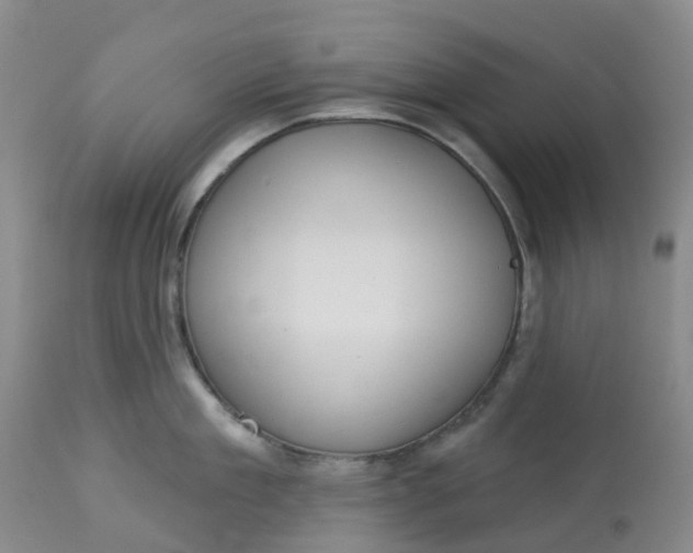 X0000113080909200909111000