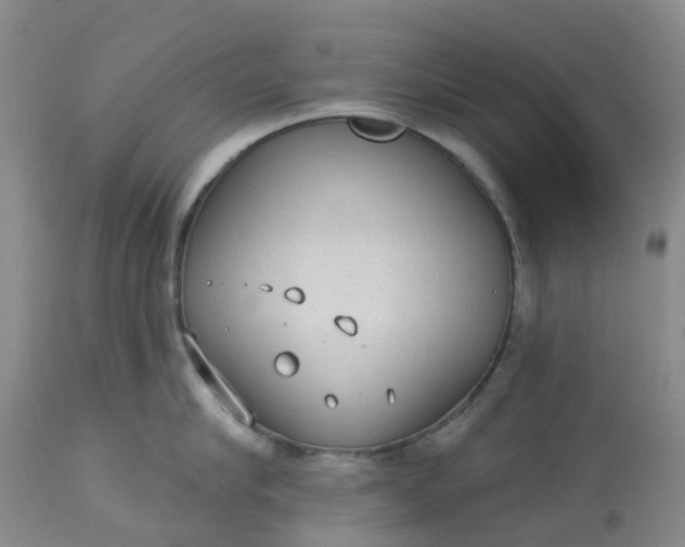 X0000113080910200909111000