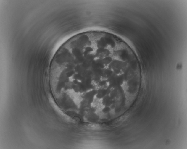 X0000113080911200909111000