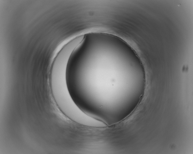 X0000113080912200909111000