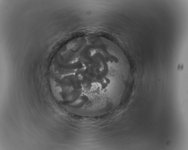 X0000113080913200909111000