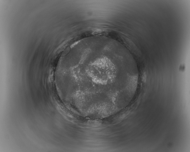 X0000113080914200909111000