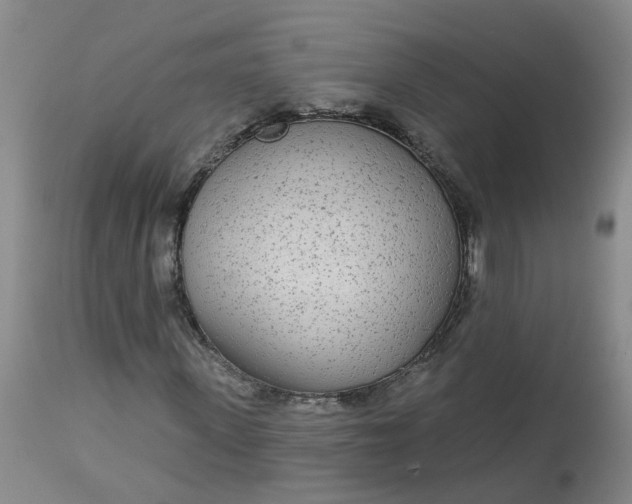 X0000113080915200909111000