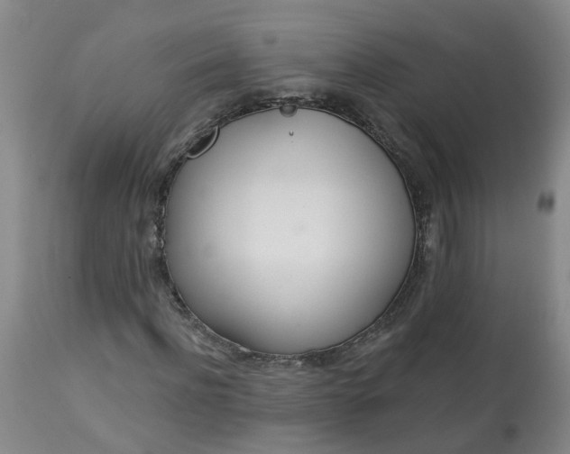 X0000113080916200909111000