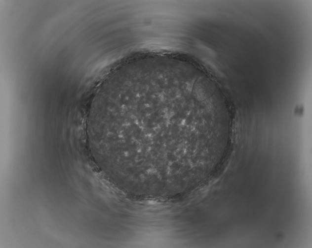 X0000113080917200909111000