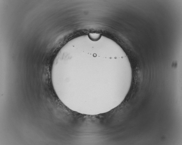 X0000113080918200909111000