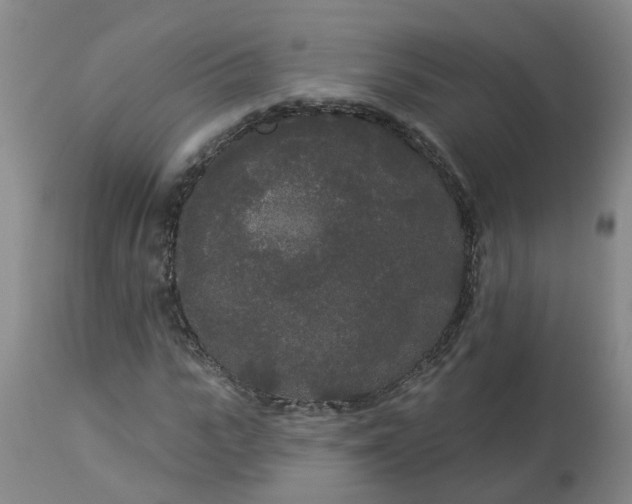 X0000113080919200909111000