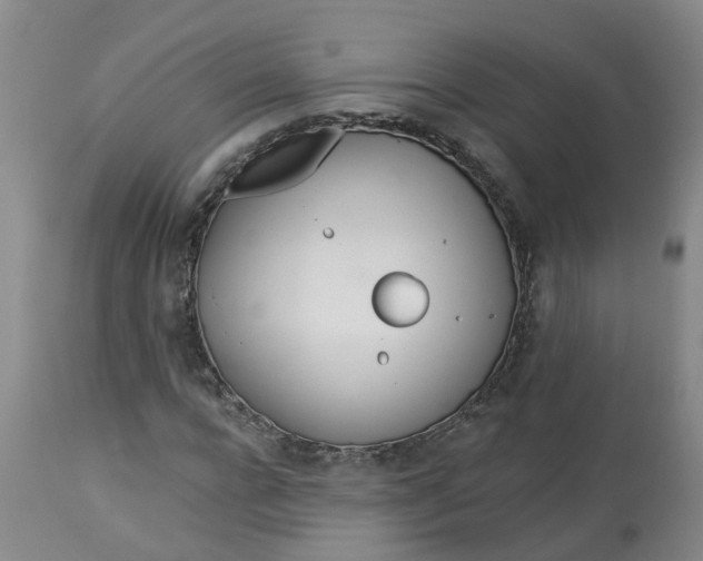 X0000113080920200909111000