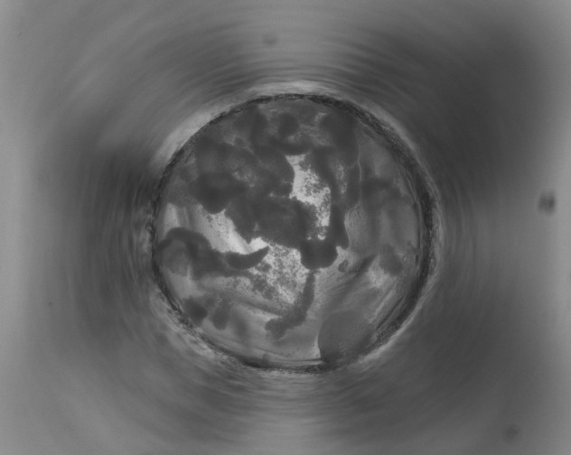 X0000113080921200909111000