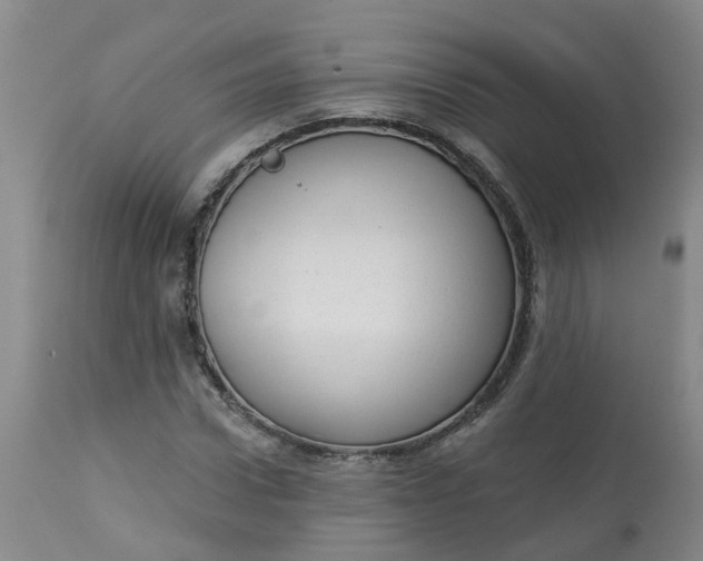 X0000113080922200909111000