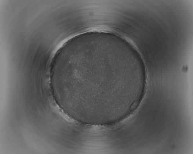 X0000113080923200909111000