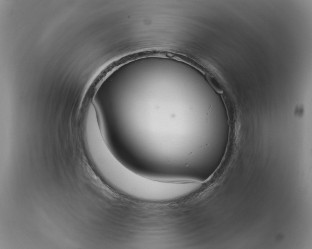 X0000113080924200909111000