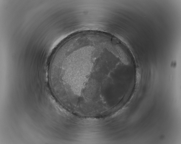 X0000113080925200909111000