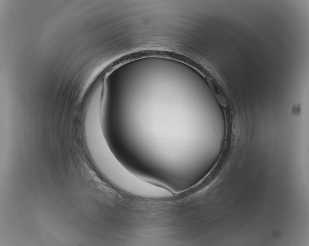 X0000113080926200909111000