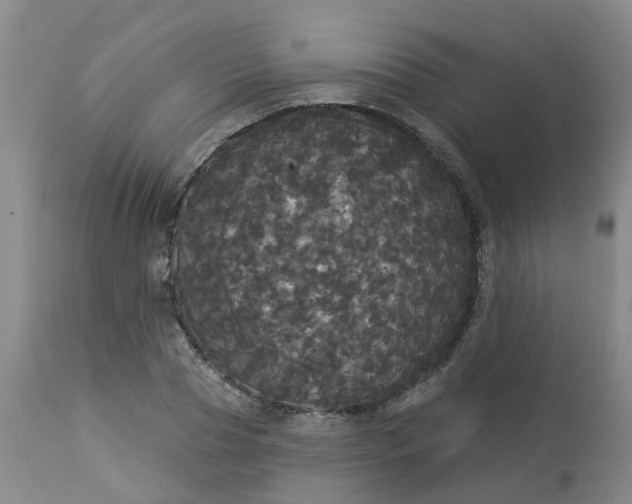 X0000113080929200909111000