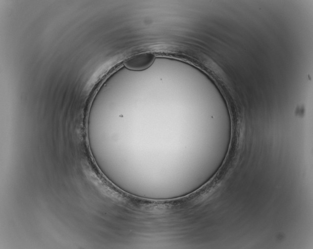 X0000113080930200909111000