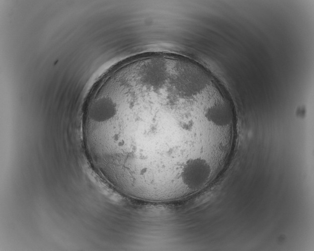 X0000113080931200909111000