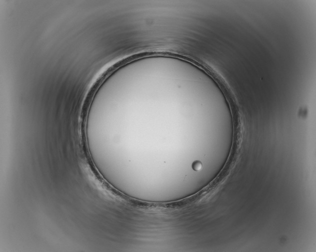 X0000113080932200909111000