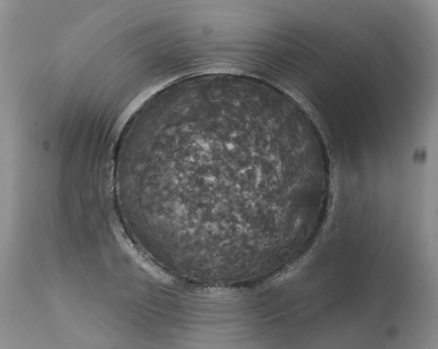 X0000113080933200909111000