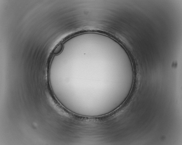 X0000113080934200909111000