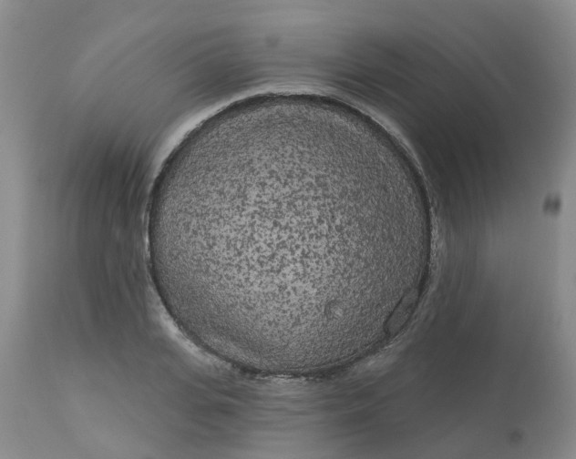 X0000113080935200909111000