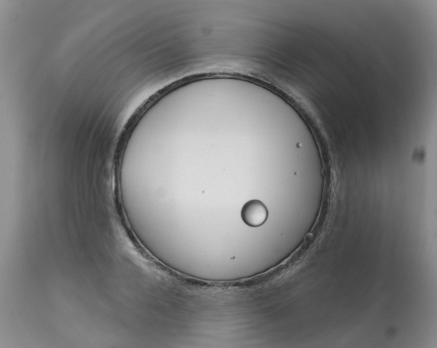 X0000113080936200909111000