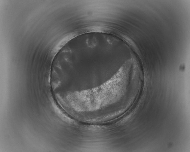 X0000113080938200909111000