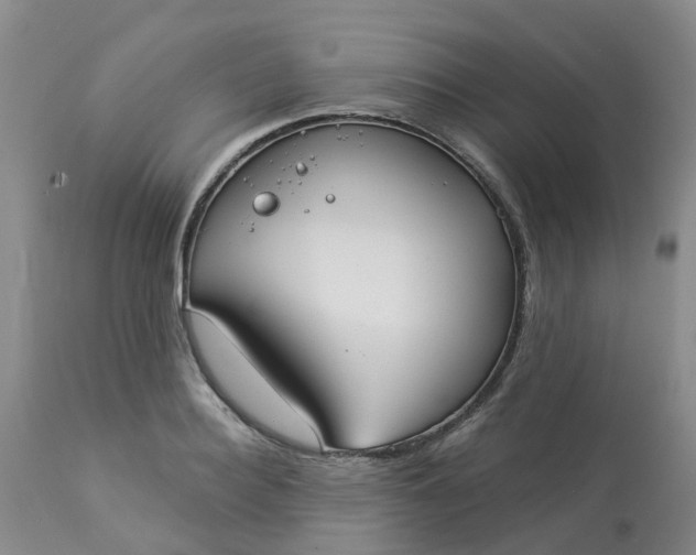 X0000113080940200909111000